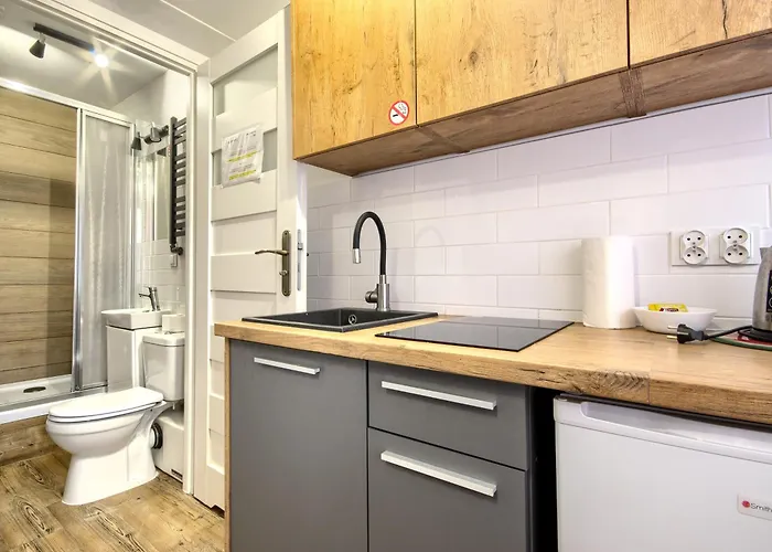 公寓 Seredynskiego - Old Town Studio's By Platinium Lofts *